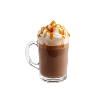 Hot Chocolate Flavor